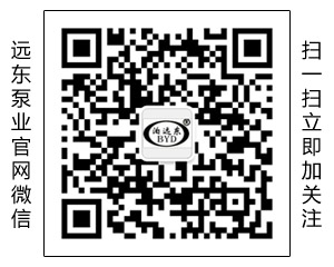 中國遠(yuǎn)東泵業(yè)制造有限公司