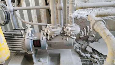 遠東保溫瀝青泵、燃油泵在路翔股份現(xiàn)場展示