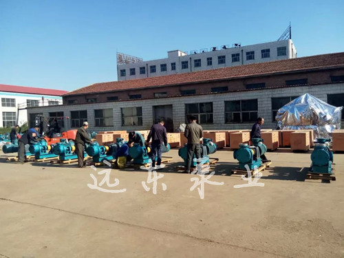 高粘度轉(zhuǎn)子泵