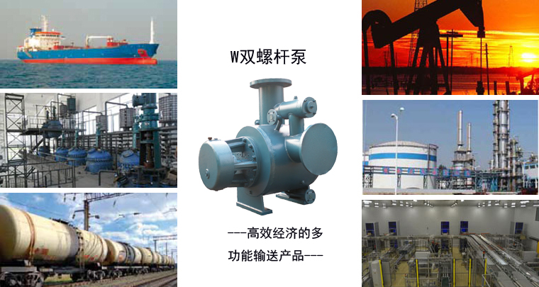 雙螺桿泵安裝指導(dǎo)