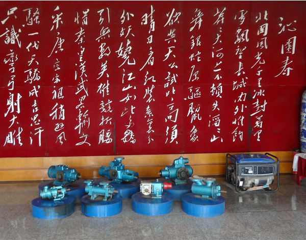 泊頭遠(yuǎn)東泵業(yè)油泵展廳